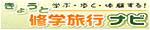 傤ƏCwsir