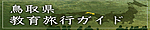 挧痷s