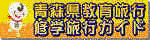 XCwsKCh